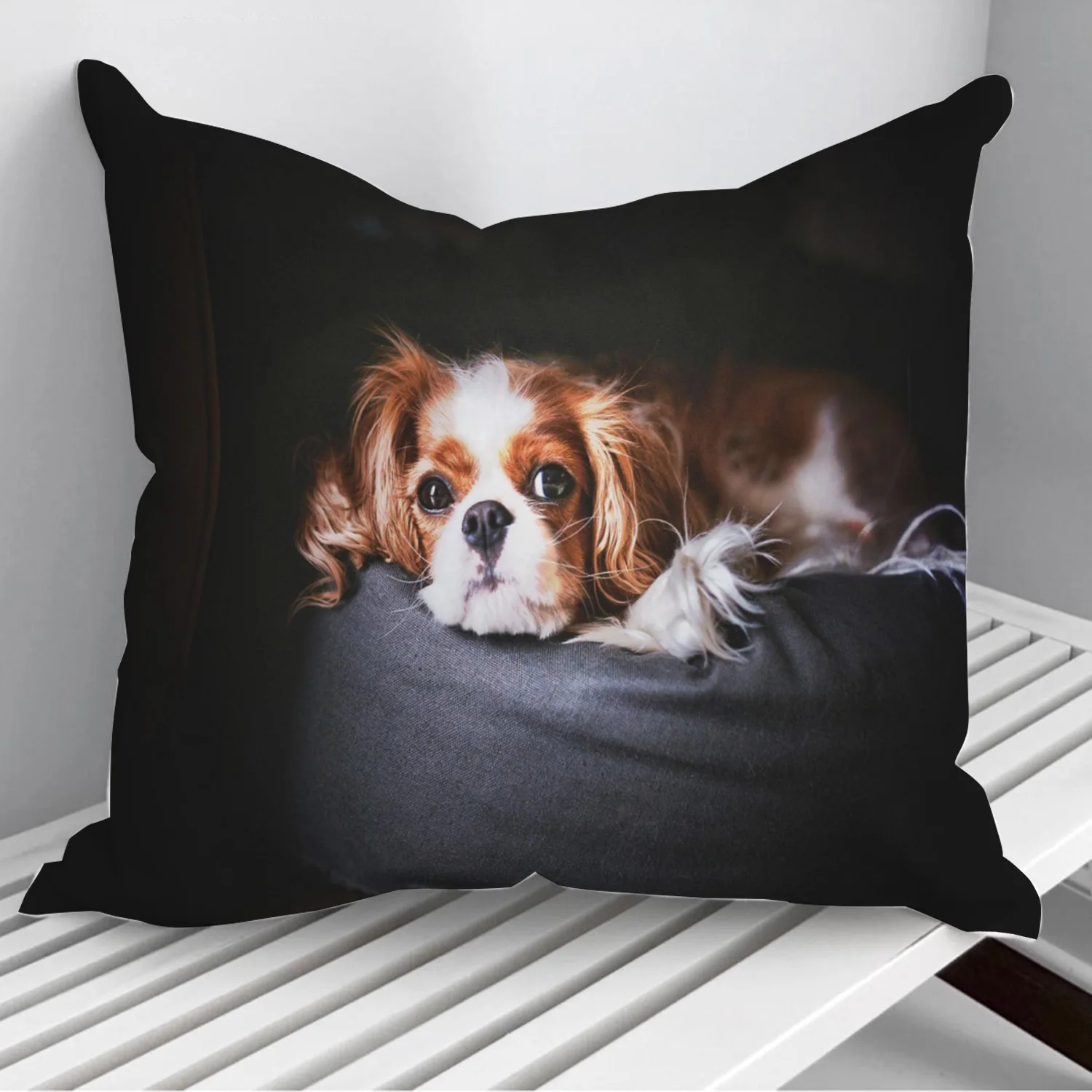 Cavalier King Charles Span Pillowcase Decorative Sofa Cushion Case Bed Pillow Cover Home Decor Car Cushion Cover 45*45cm
Cavalier King Charles Span Pillowcase Decorative Sofa Cushion Case Bed Pillow Cover Home Decor Car Cushion Cover 45*45cm