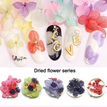 1 box of nail art decoration natural flower immortal dried petals mixed 3D nail stickers DIY nail accessories 
1 box of nail art decoration natural flower immortal dried petals mixed 3D nail stickers DIY nail accessories