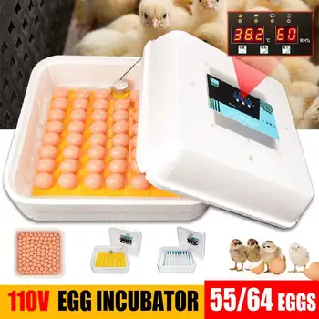 110V Farm 55/64 Eggs Hatchery Incubator Brooder Machine Digital Hatchers Chicken Automatic Eggs Incubator Bird Quail Brooder
110V Farm 55/64 Eggs Hatchery Incubator Brooder Machine Digital Hatchers Chicken Automatic Eggs Incubator Bird Quail Brooder