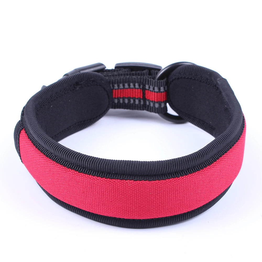 PC-00207-1 (3)