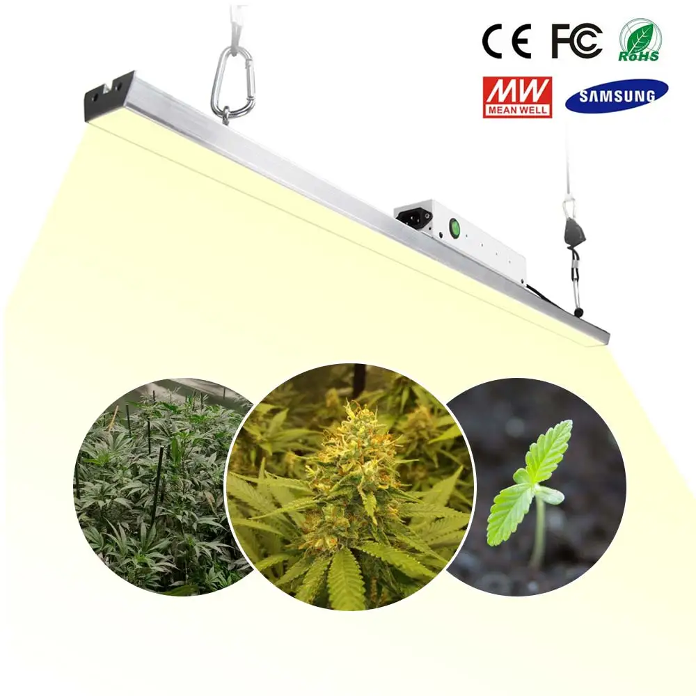 LED Grow Light Bar Quantum Board Samsung LM301B Full Spectrum 300W 3500K Plant Growing Lamp For Indoor Plants Greenhouse Tent
LED Grow Light Bar Quantum Board Samsung LM301B Full Spectrum 300W 3500K Plant Growing Lamp For Indoor Plants Greenhouse Tent
