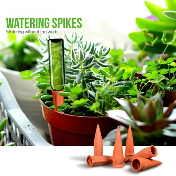 4 Pcs Plant Waterer Self Watering Terracotta Spikes Automatically for Vacation Indoor Outdoor Best Price
4 Pcs Plant Waterer Self Watering Terracotta Spikes Automatically for Vacation Indoor Outdoor Best Price