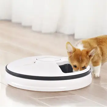 Automatic Pet Feeder Dog Bowl Six-Hole Smart Timing Feeder Regular And Quantitative Pet Tableware Supplies
Automatic Pet Feeder Dog Bowl Six-Hole Smart Timing Feeder Regular And Quantitative Pet Tableware Supplies