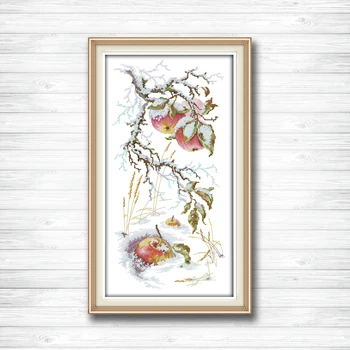 Apple in the snow fruits diy painting dmc 14CT 11CT counted cross stitch kits embroidery set Needlework Set chinese cross stitch
Apple in the snow fruits diy painting dmc 14CT 11CT counted cross stitch kits embroidery set Needlework Set chinese cross stitch