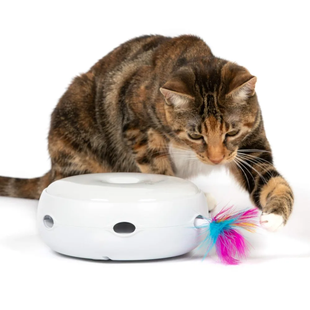 Electronic rot Cat Toy Smart Teasing Cat Stick Crazy Game Spinning Turntable Catch Mouse Donut Automatic Turntable Cat smart Toy
Electronic rot Cat Toy Smart Teasing Cat Stick Crazy Game Spinning Turntable Catch Mouse Donut Automatic Turntable Cat smart Toy