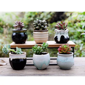 6pcs Creative Ceramic Succulent Plant Flower Pot Variable Flow Glaze for Home Room Office without Plant
6pcs Creative Ceramic Succulent Plant Flower Pot Variable Flow Glaze for Home Room Office without Plant