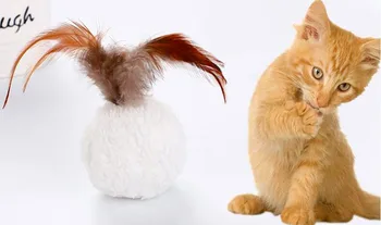 Feather Cat Catch Ball Interactive Toy, Colorful Creative Feather And Ball Pet Gift, Funny Cat Ball Teeth Cleaning 
Feather Cat Catch Ball Interactive Toy, Colorful Creative Feather And Ball Pet Gift, Funny Cat Ball Teeth Cleaning