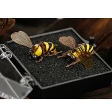 2Pcs/Box Insects Bee Fishing Lure Artificial Hand Made Steel Honeybee Floatable Topwater Fly Fishing Flies Lure Set Yellow
2Pcs/Box Insects Bee Fishing Lure Artificial Hand Made Steel Honeybee Floatable Topwater Fly Fishing Flies Lure Set Yellow