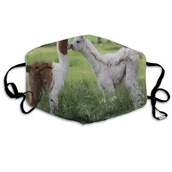 ZHOUSUN Llamas Windproof Mouth Cover Protective Warm Face Covers for Women Men
ZHOUSUN Llamas Windproof Mouth Cover Protective Warm Face Covers for Women Men