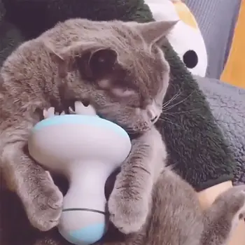 Cats Electric Automatic Scalp Massager USB Rechargeable Cat Claw Massage Tool Dog Interactive Head Stress Relaxing Toys
Cats Electric Automatic Scalp Massager USB Rechargeable Cat Claw Massage Tool Dog Interactive Head Stress Relaxing Toys