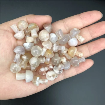 1/2pcs Mini Natural Cherry Blossom Agate Mushroom Quartz Crystal Hand Polished Healing Natural Quartz Crystals
1/2pcs Mini Natural Cherry Blossom Agate Mushroom Quartz Crystal Hand Polished Healing Natural Quartz Crystals