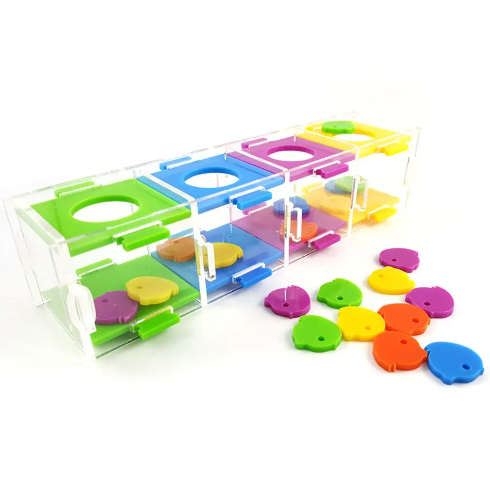 Parrot Educational Training Intelligence Development Toy Pet Basketball Hoop Mini Basket Bird Shot Bird Supplies
Parrot Educational Training Intelligence Development Toy Pet Basketball Hoop Mini Basket Bird Shot Bird Supplies