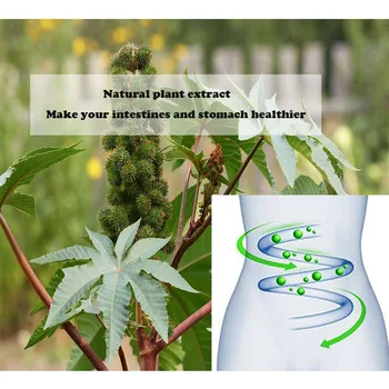 Natural plants, Castor oil essence, and adults help gastrointestinal tract to promote defecation of 30 pcs
Natural plants, Castor oil essence, and adults help gastrointestinal tract to promote defecation of 30 pcs