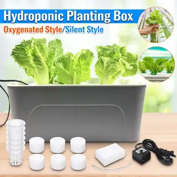 1 sets 220V Plant Site Hydroponic Systems 6 Holes nursery pots Soilless cultivation plant seedling Grow Kit
1 sets 220V Plant Site Hydroponic Systems 6 Holes nursery pots Soilless cultivation plant seedling Grow Kit