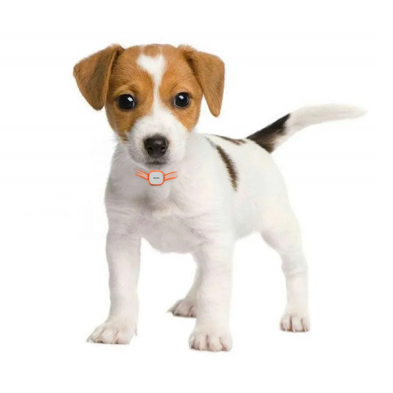 Mini Pet GPS Tracker Cat Dog 2160 Hours Standby GSM GPRS Tracking Locator With SOS Alarm System Tracking Device Waterproof
Mini Pet GPS Tracker Cat Dog 2160 Hours Standby GSM GPRS Tracking Locator With SOS Alarm System Tracking Device Waterproof