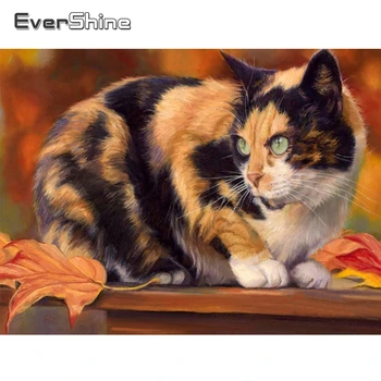 Evershine Diamond Embroidery Cat Full Square Round Diamond Painting Animal Cross Stitch Kit Needlework Rhinestones Art
Evershine Diamond Embroidery Cat Full Square Round Diamond Painting Animal Cross Stitch Kit Needlework Rhinestones Art