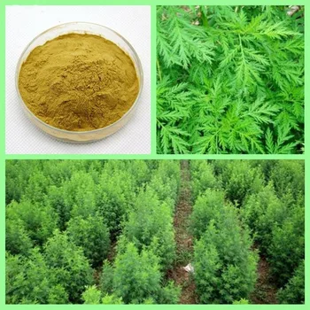 100g Dihydroartemisinin 98% Longevity Support,Anti Cancer Tumor Viral 
100g Dihydroartemisinin 98% Longevity Support,Anti Cancer Tumor Viral