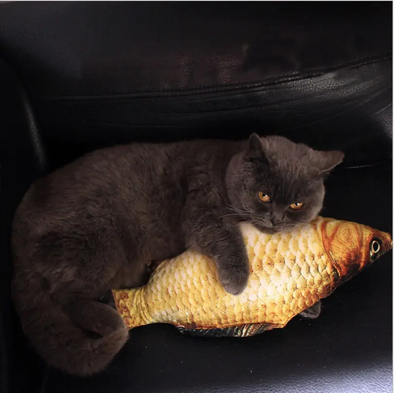 2020 Newest Hot 1PCS Grass Carp Fish Shape Pet Kitten Interactive Cats Chewing Toys Play Fun Toy