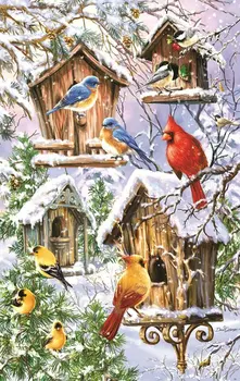 JMINE Div 5D Cardinal Birds Birdhouse winter Full Diamond Painting cross stitch kits art Animal 3D paint by diamonds
JMINE Div 5D Cardinal Birds Birdhouse winter Full Diamond Painting cross stitch kits art Animal 3D paint by diamonds