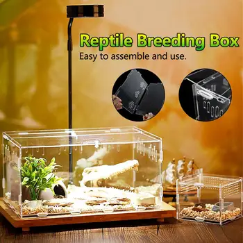 Reptile Breeding Box Acrylic Transparent Sliding Cover Reptile Tank Insect Spiders Tortoise Lizard Feeding Box Terrarium
Reptile Breeding Box Acrylic Transparent Sliding Cover Reptile Tank Insect Spiders Tortoise Lizard Feeding Box Terrarium