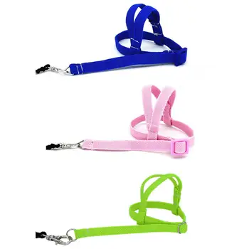 Pet Bird Parrot Harness Small Pets Parakeet Leash Soft Colorful Outdoor Adjustable Strap Training Rope 
Pet Bird Parrot Harness Small Pets Parakeet Leash Soft Colorful Outdoor Adjustable Strap Training Rope