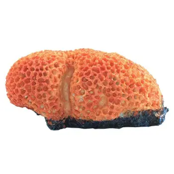 Resin Aquarium Artificial Coral Reef Decoration Landscape Fish Tank Ornaments
Resin Aquarium Artificial Coral Reef Decoration Landscape Fish Tank Ornaments