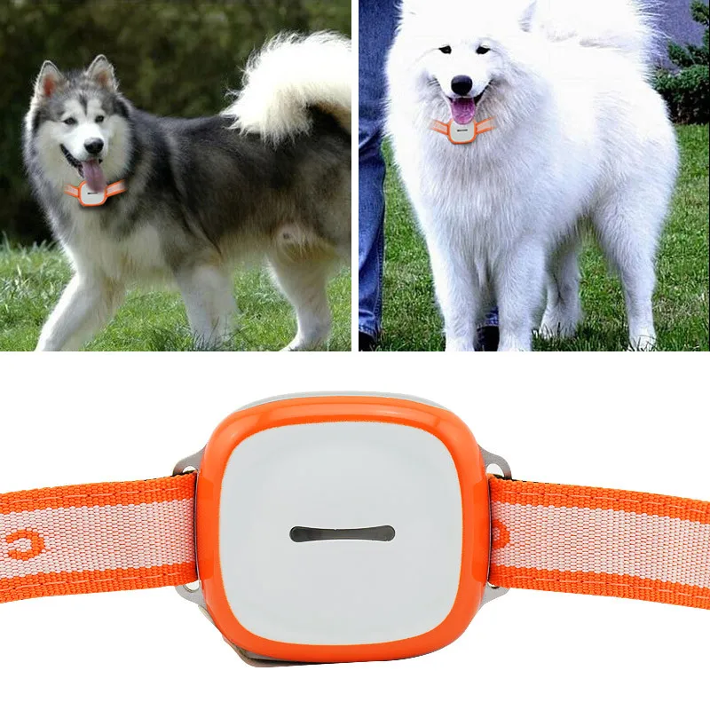 Mini Pet GPS Tracker Cat Dog Standby GSM GPRS Tracking Locator With SOS Alarm System Tracking Device
Mini Pet GPS Tracker Cat Dog Standby GSM GPRS Tracking Locator With SOS Alarm System Tracking Device