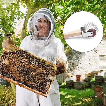 Stainless Steel Roller Honey Extracting Tool Beekeeping Type Propolis Collector Honey Extracting Tool Beekeeping Accessories
Stainless Steel Roller Honey Extracting Tool Beekeeping Type Propolis Collector Honey Extracting Tool Beekeeping Accessories