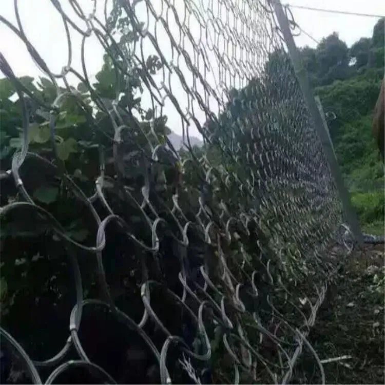 Profession Manufacturers Production RXi Ring Network SNS Passive Protective Net Safe Net Debris Flow Hold up with a Net Steel Wi
Profession Manufacturers Production RXi Ring Network SNS Passive Protective Net Safe Net Debris Flow Hold up with a Net Steel Wi