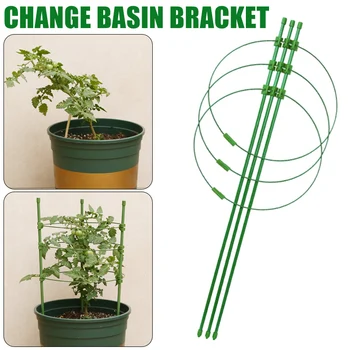 Climbing Plant Support Cages Flowers Stand with 3 Adjustable Rings Sturdy for Garden can CSV
Climbing Plant Support Cages Flowers Stand with 3 Adjustable Rings Sturdy for Garden can CSV