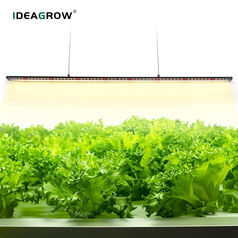 Indoor Grow Lights Full Spectrum Phyto Lamp for Plants 60W 480W 640W High Brightness Dimmable LED Grow Light Bars for Grow Tent
Indoor Grow Lights Full Spectrum Phyto Lamp for Plants 60W 480W 640W High Brightness Dimmable LED Grow Light Bars for Grow Tent