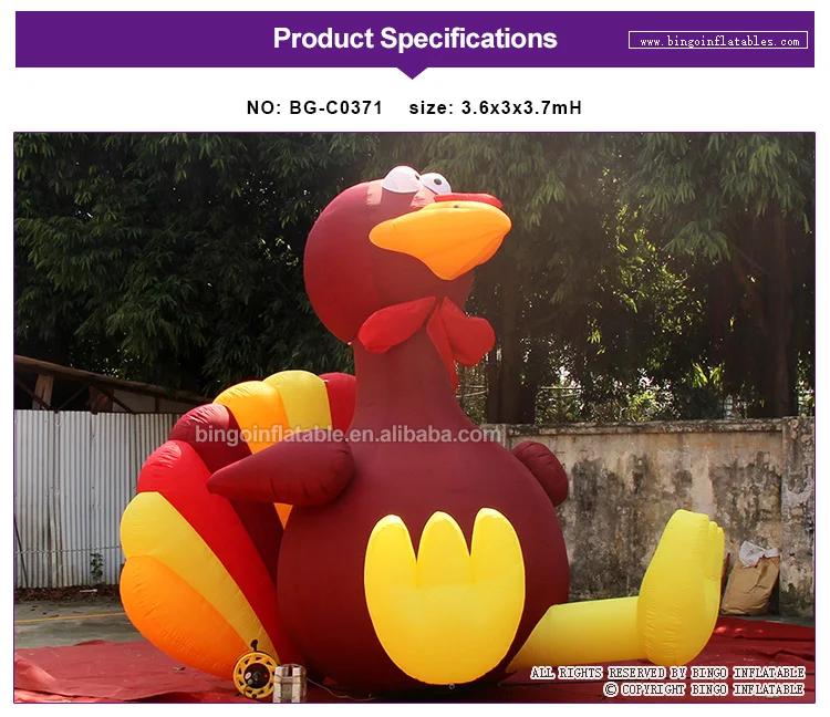 BG-C0371-bingoinflatables_01