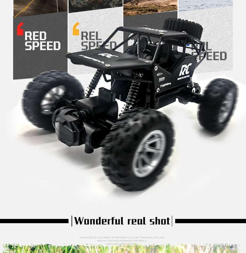 RC Car (6)