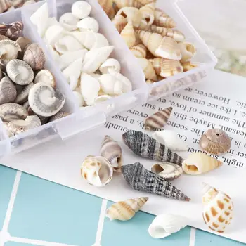 100Pcs/Box Natural Conch Shells Mini Conch Corn Screw Wall Decoration DIY Aquarium Landscape Seashells Jewelry DIY Craft
100Pcs/Box Natural Conch Shells Mini Conch Corn Screw Wall Decoration DIY Aquarium Landscape Seashells Jewelry DIY Craft