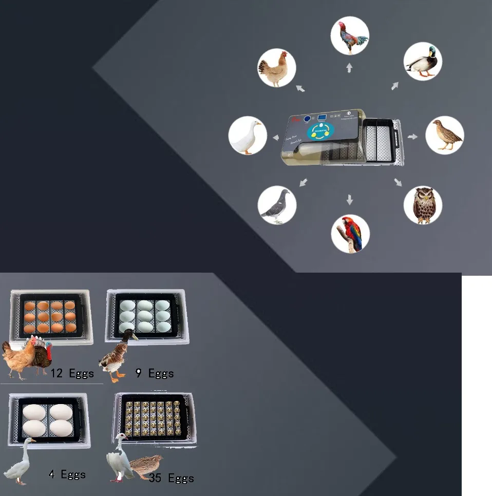 Newest Farm Hatchery Incubator Brooder Machine 4-35 Egg Hatchers Cheap Price Chicken Automatic Eggs Incubator Bird Quail Brooder Newest Farm Hatchery Incubator Brooder Machine 4-35 Egg Hatchers Cheap Price Chicken Automatic Eggs Incubator Bird Quail Brooder