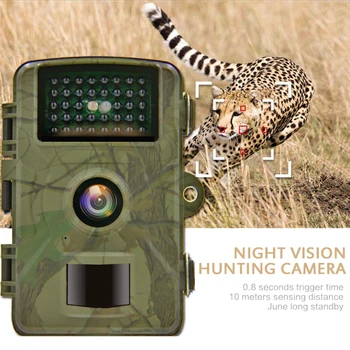 1080P Hunting Camera Wildlife Trail Camera Photo Trap Infrared Hunting Cameras DL001 Tracking Camera For Hunting Scouting Game
1080P Hunting Camera Wildlife Trail Camera Photo Trap Infrared Hunting Cameras DL001 Tracking Camera For Hunting Scouting Game