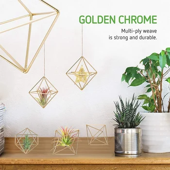 6 Pcs Air Plant Holder Mini Metal Tabletop Decor Modern Geometric Planter Tillandsia Display Stand Himmeli Decor
6 Pcs Air Plant Holder Mini Metal Tabletop Decor Modern Geometric Planter Tillandsia Display Stand Himmeli Decor