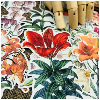 15pcs Vintage lily flower stickers DIY scrapbooking journal album mobile phone computer primer collage decorative stickers
15pcs Vintage lily flower stickers DIY scrapbooking journal album mobile phone computer primer collage decorative stickers
