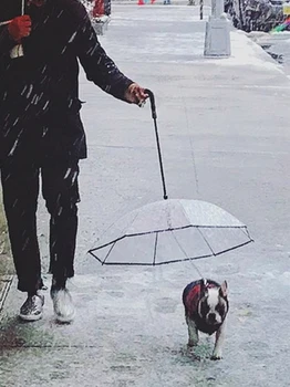 Transparent PE Pet Umbrella Dog Walking Waterproof Clear Cover Built-In Leash Rain Sleet Snow Pet Umbrella Pet Products New
Transparent PE Pet Umbrella Dog Walking Waterproof Clear Cover Built-In Leash Rain Sleet Snow Pet Umbrella Pet Products New