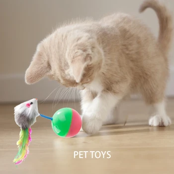 28pcs/set IPet Kit Collapsible Tunnel Cat toy Fun Channel Feather Balls Mice Shape Pet Kitten Dog Cat Interactive Play Supplies
28pcs/set IPet Kit Collapsible Tunnel Cat toy Fun Channel Feather Balls Mice Shape Pet Kitten Dog Cat Interactive Play Supplies
