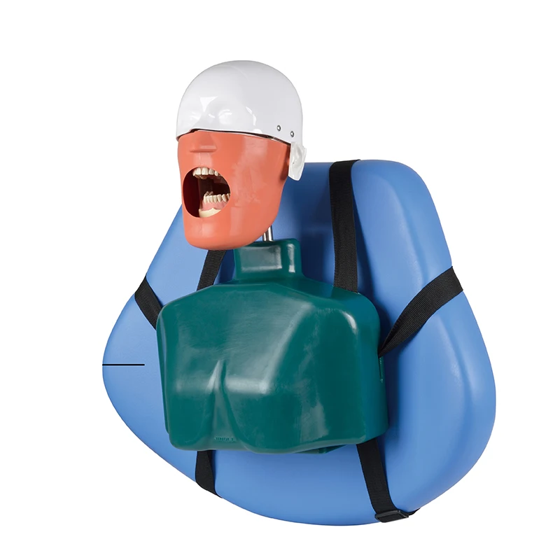 Dental simulator manikin phantom head Dental phantom head model with new style bench mount for dentist education
Dental simulator manikin phantom head Dental phantom head model with new style bench mount for dentist education