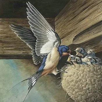 5D DIY Diamond Painting Swallow Full Round Drill Square Diamond Embroidered Crystal Mosaic Gift Cross Stitch Art Home Decor
5D DIY Diamond Painting Swallow Full Round Drill Square Diamond Embroidered Crystal Mosaic Gift Cross Stitch Art Home Decor