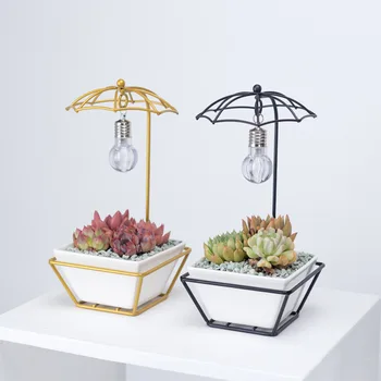 Simple Creative Umbrella Bulb Decorative Iron Ceramic Fleshy Flower Pot Combination Iron Frame Flower Pot Set without Plants
Simple Creative Umbrella Bulb Decorative Iron Ceramic Fleshy Flower Pot Combination Iron Frame Flower Pot Set without Plants