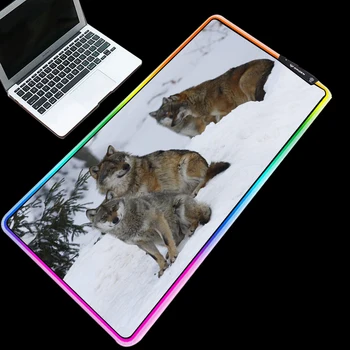 ZSUXTC RGB Mouse Pad Around Cold Light LED Color Change USB Charging Connection Snow Wolf Pack Anime Computer Desk Mat Carpet
ZSUXTC RGB Mouse Pad Around Cold Light LED Color Change USB Charging Connection Snow Wolf Pack Anime Computer Desk Mat Carpet