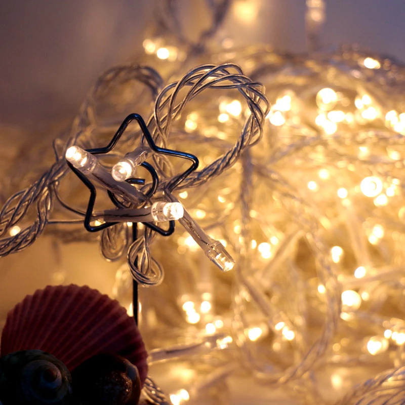 10m 100 led christmas string light Waterproof EU plug (18)