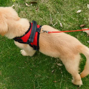 Durable Dog Harness Dogs Training Harness Explosion-proof Pet Vest For Dog Collar Cat Pet Dog Chest Strap Leash in stock
Durable Dog Harness Dogs Training Harness Explosion-proof Pet Vest For Dog Collar Cat Pet Dog Chest Strap Leash in stock