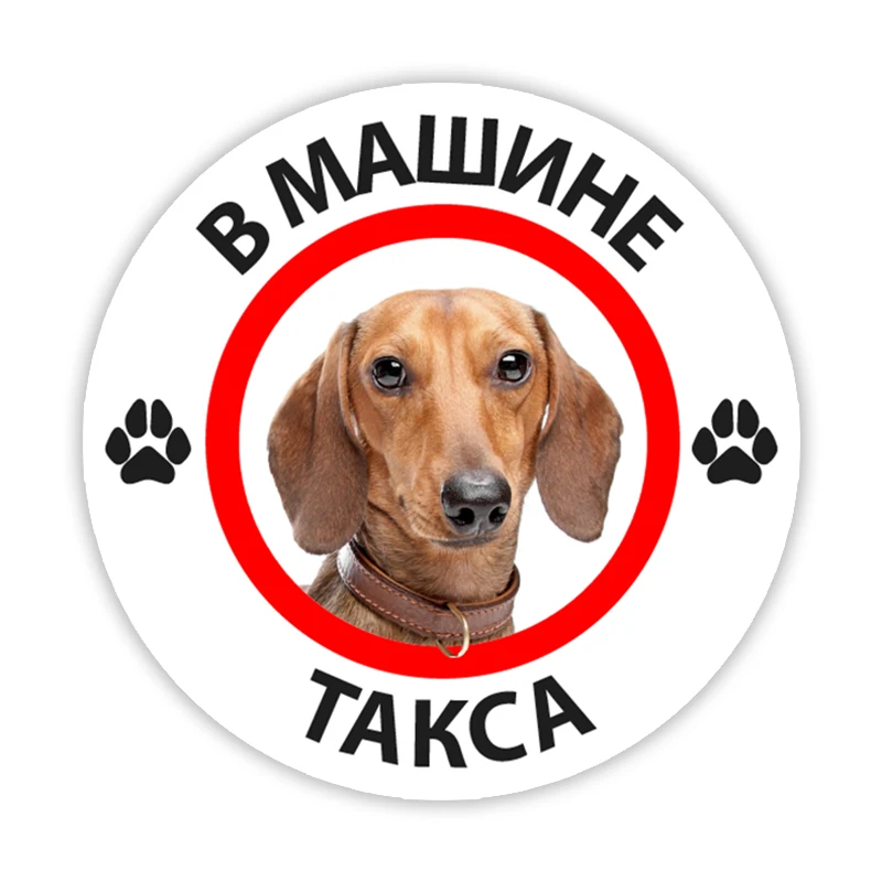 B0245 Печатный самоклеющийся наклейки на авто В машине такса водонепроницаемые