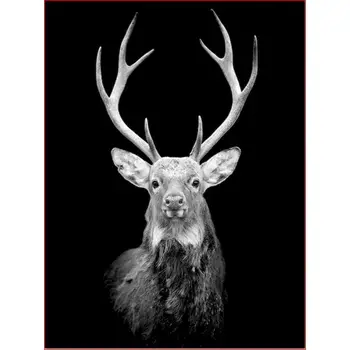 Deer Paint By Numbers Animal With Frame Pictures Drawing HandPainted Painting For Adults DIY Kits Coloring By Number Decor Art
Deer Paint By Numbers Animal With Frame Pictures Drawing HandPainted Painting For Adults DIY Kits Coloring By Number Decor Art