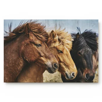 Home doormat Wood Grain Horses Desert living room door mats outdoor/indoor home decoration Anti-Slip bathroom kitchen mat
Home doormat Wood Grain Horses Desert living room door mats outdoor/indoor home decoration Anti-Slip bathroom kitchen mat