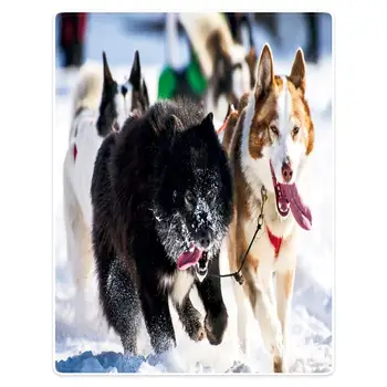 Hommomh 60 "X80" throw blanket comfortable warm portable soft plush sofa bed dog running in the snow pattern
Hommomh 60 "X80" throw blanket comfortable warm portable soft plush sofa bed dog running in the snow pattern